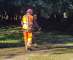 operatore